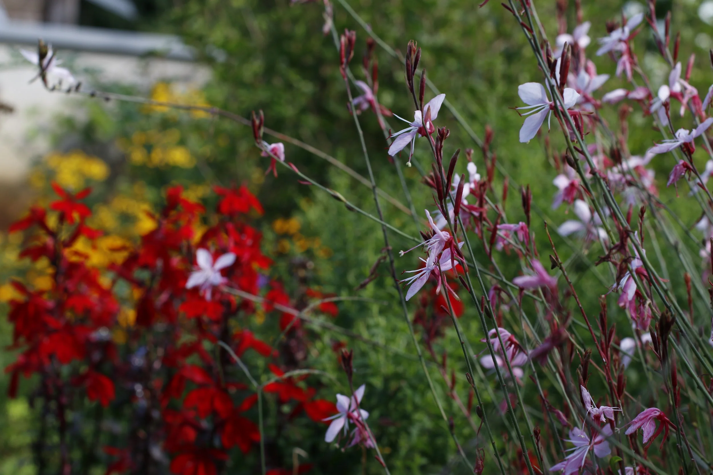 Blogeintrag: Titel Eins