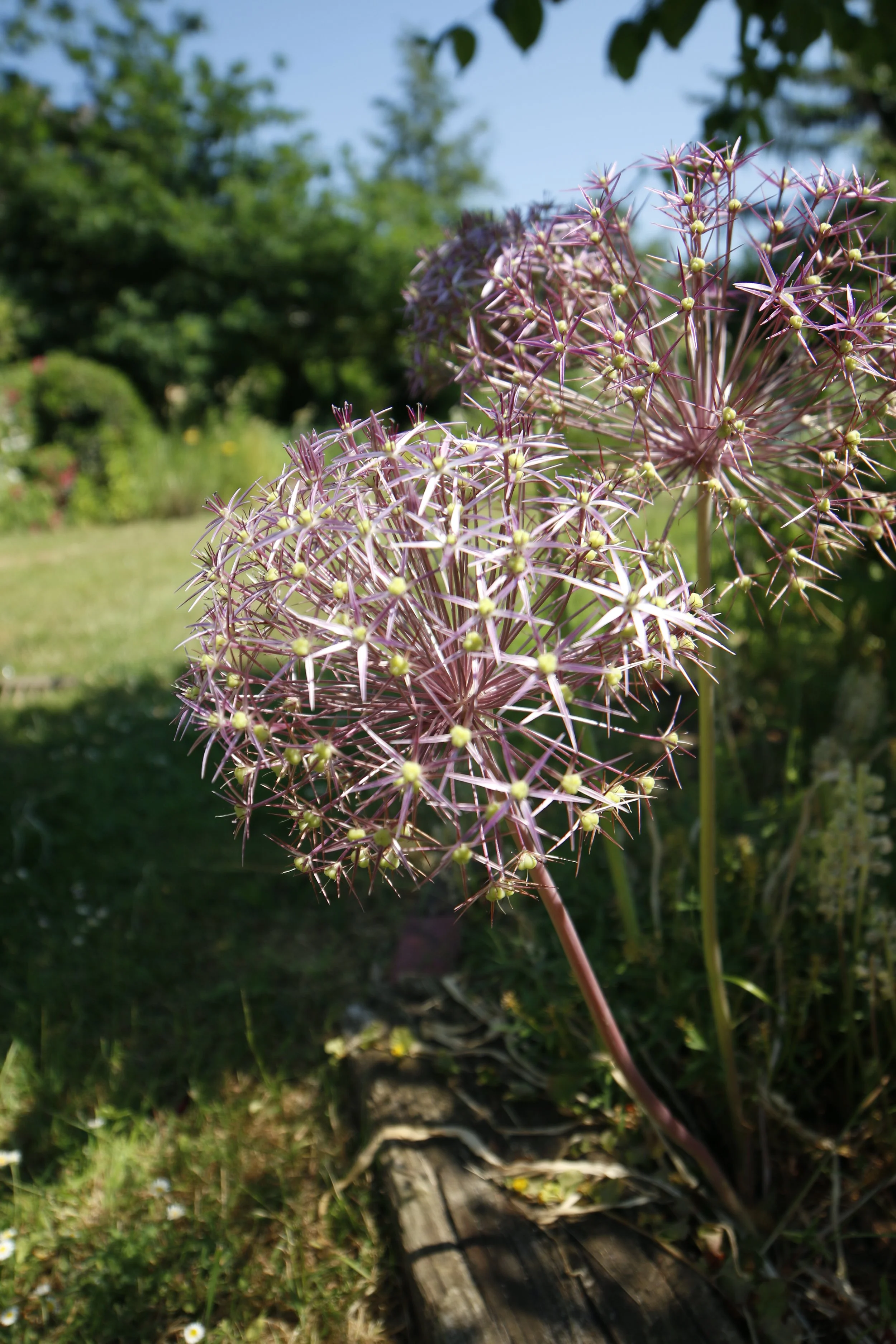 Blogeintrag: Titel Vier (Kopie) (Kopie)