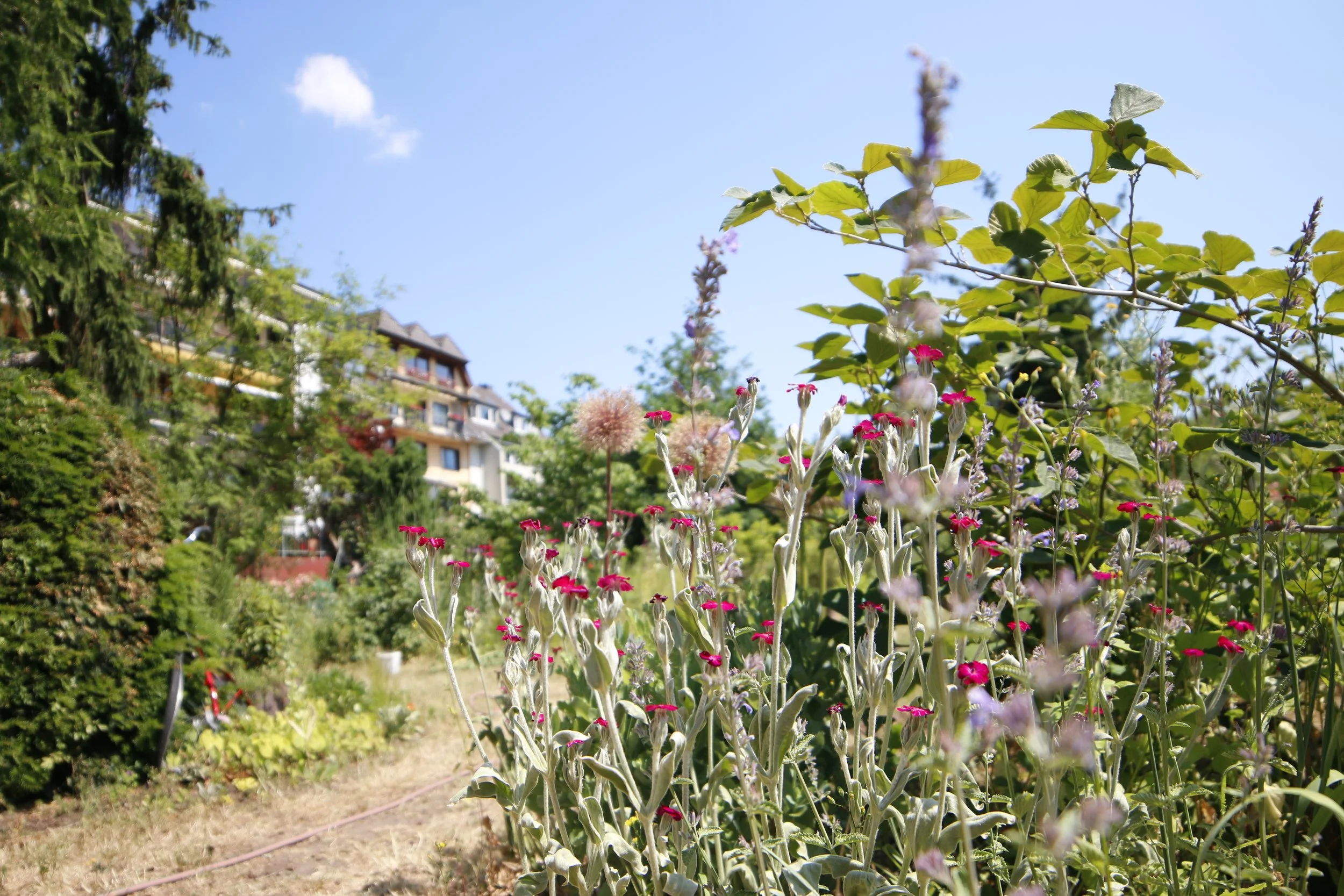 Blogeintrag: Titel Vier (Kopie)