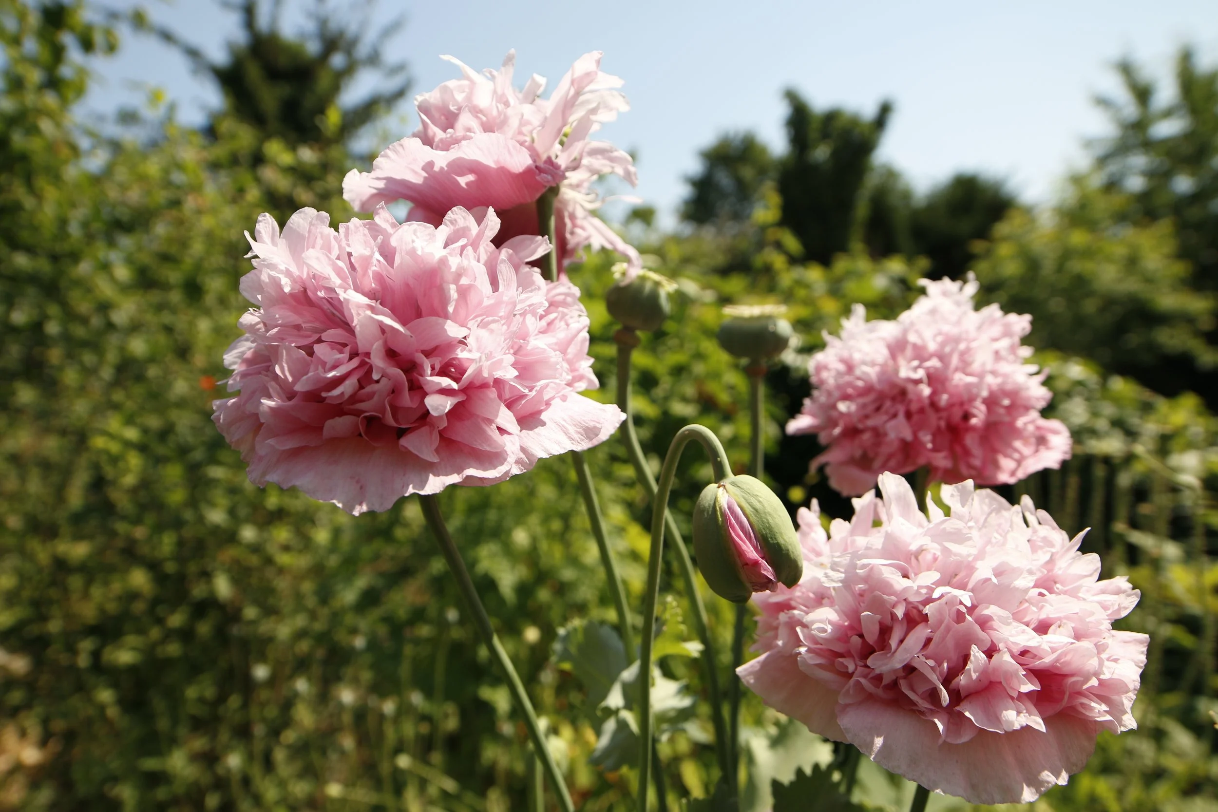 Blogeintrag: Titel Eins (Kopie)