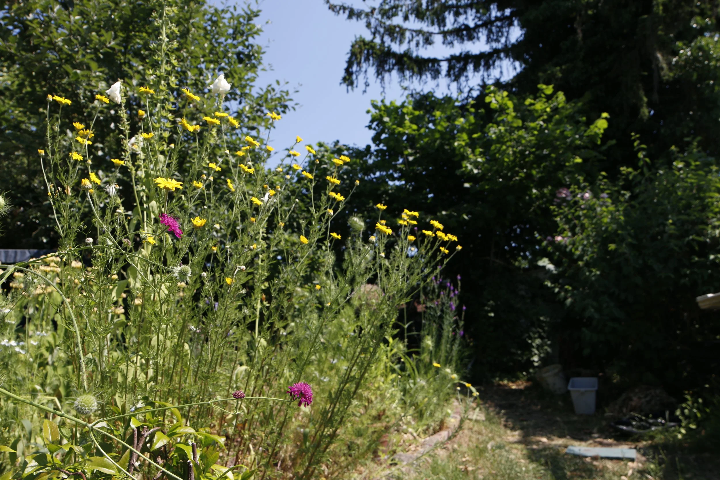 Blogeintrag: Titel Eins (Kopie) (Kopie)