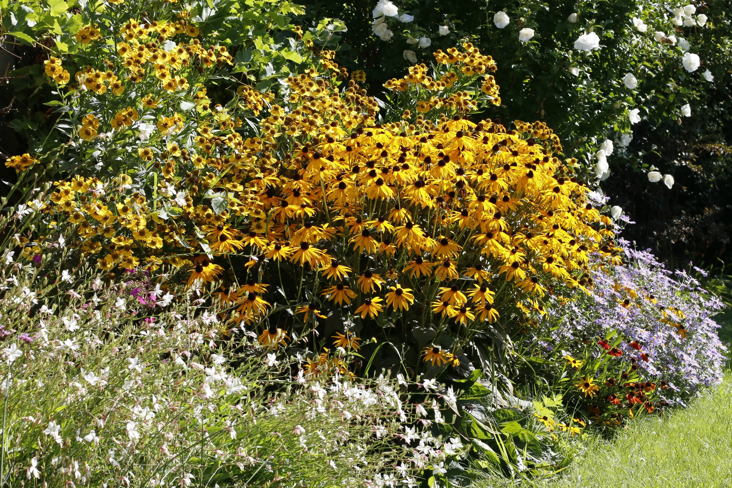 Blogeintrag: Titel Vier (Kopie)