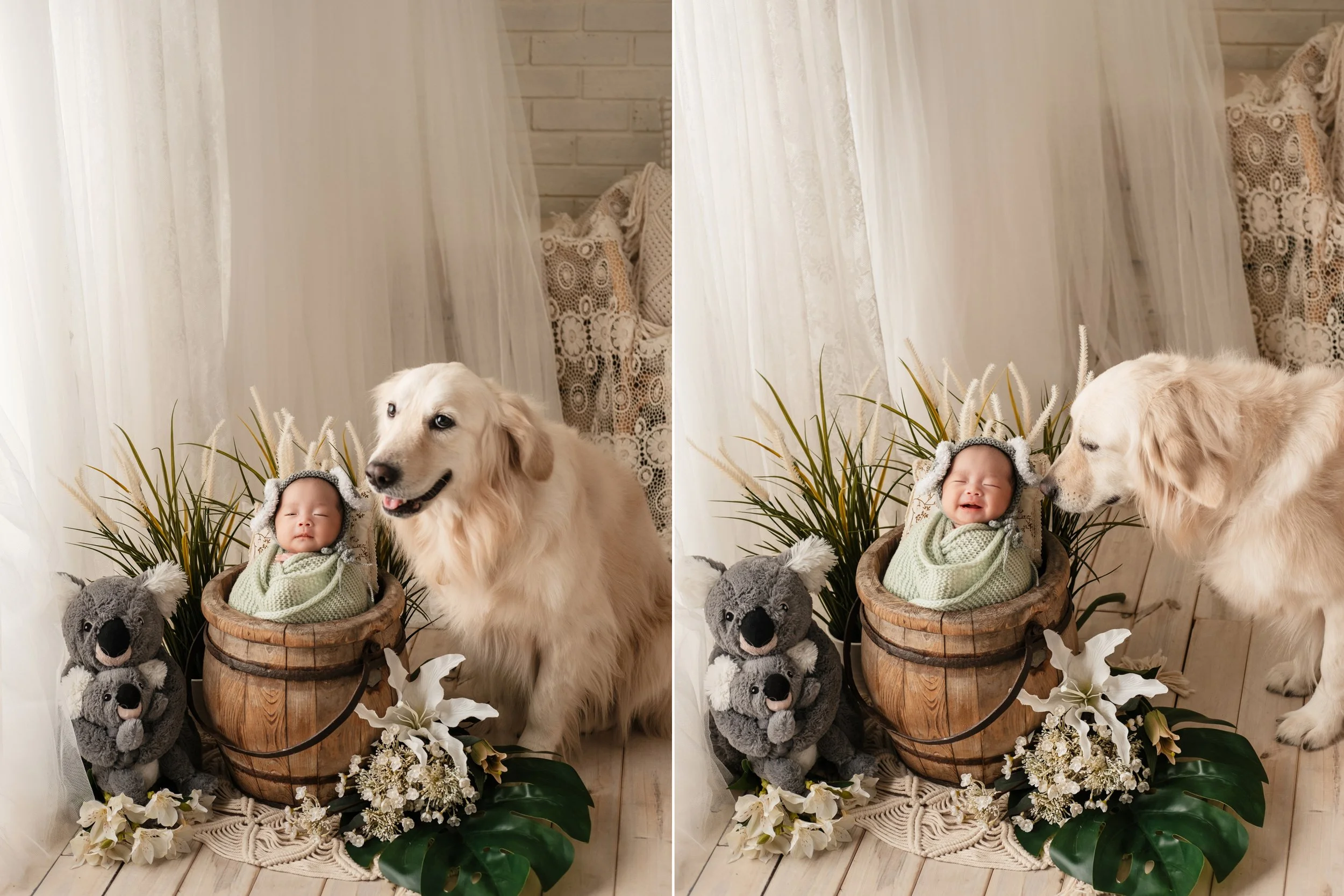 newborn family photoshoot singapore-0036.jpg