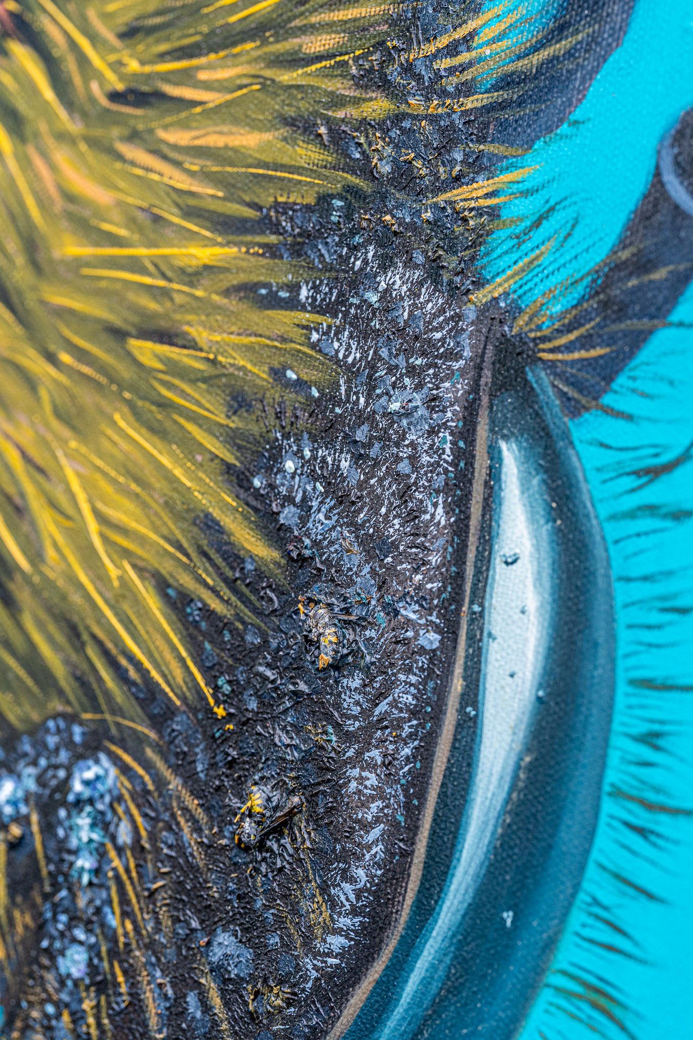 Insekter i malingen 