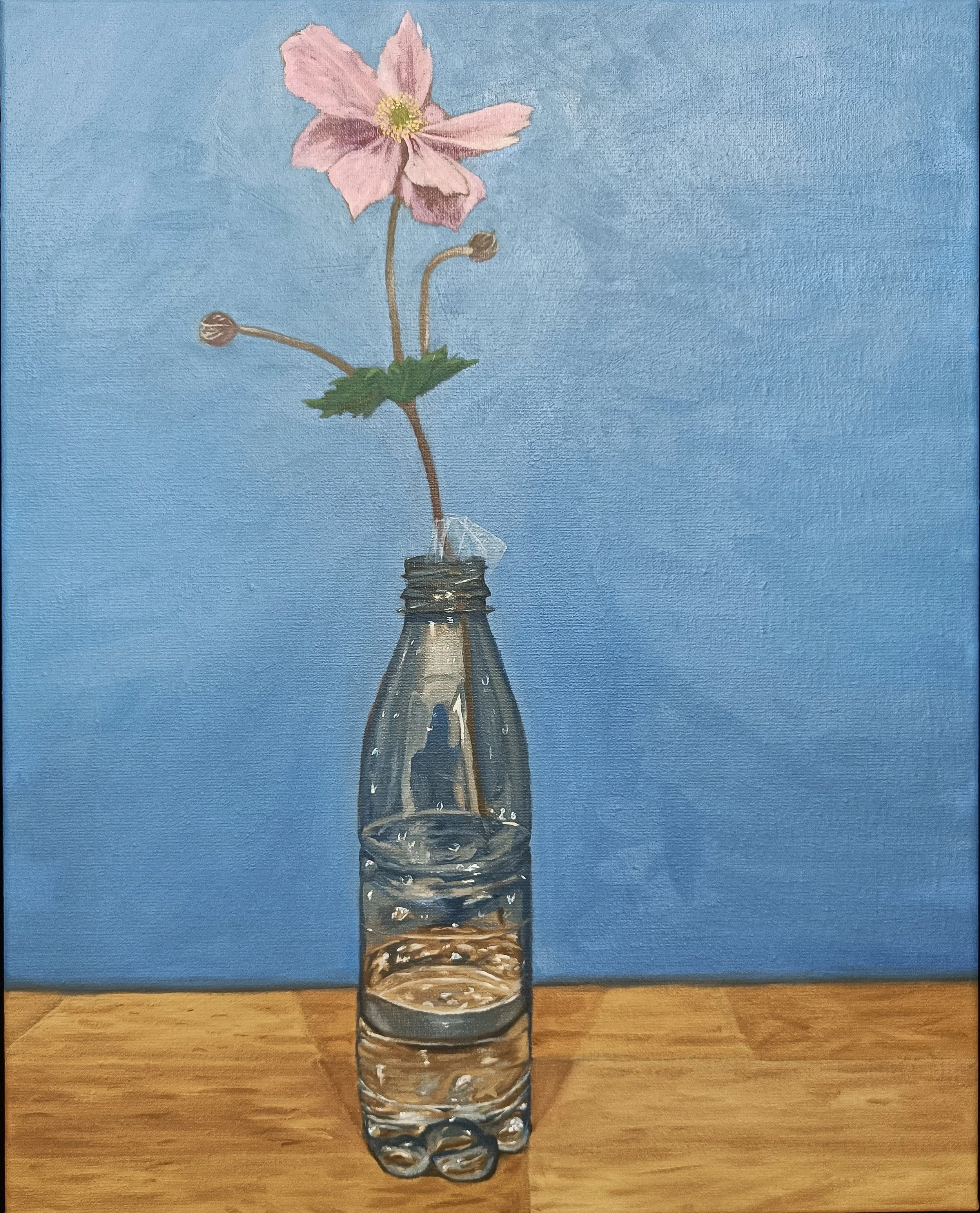 Rød Georgin Høsteanemone