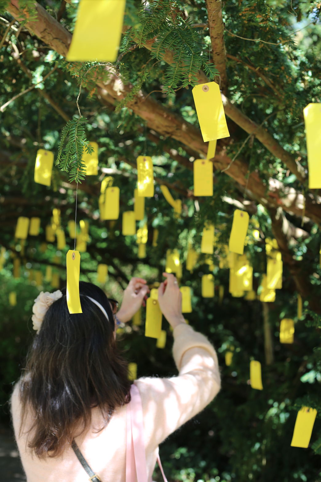 Capture d’écran 2026-04-20 à 16.04.32.png