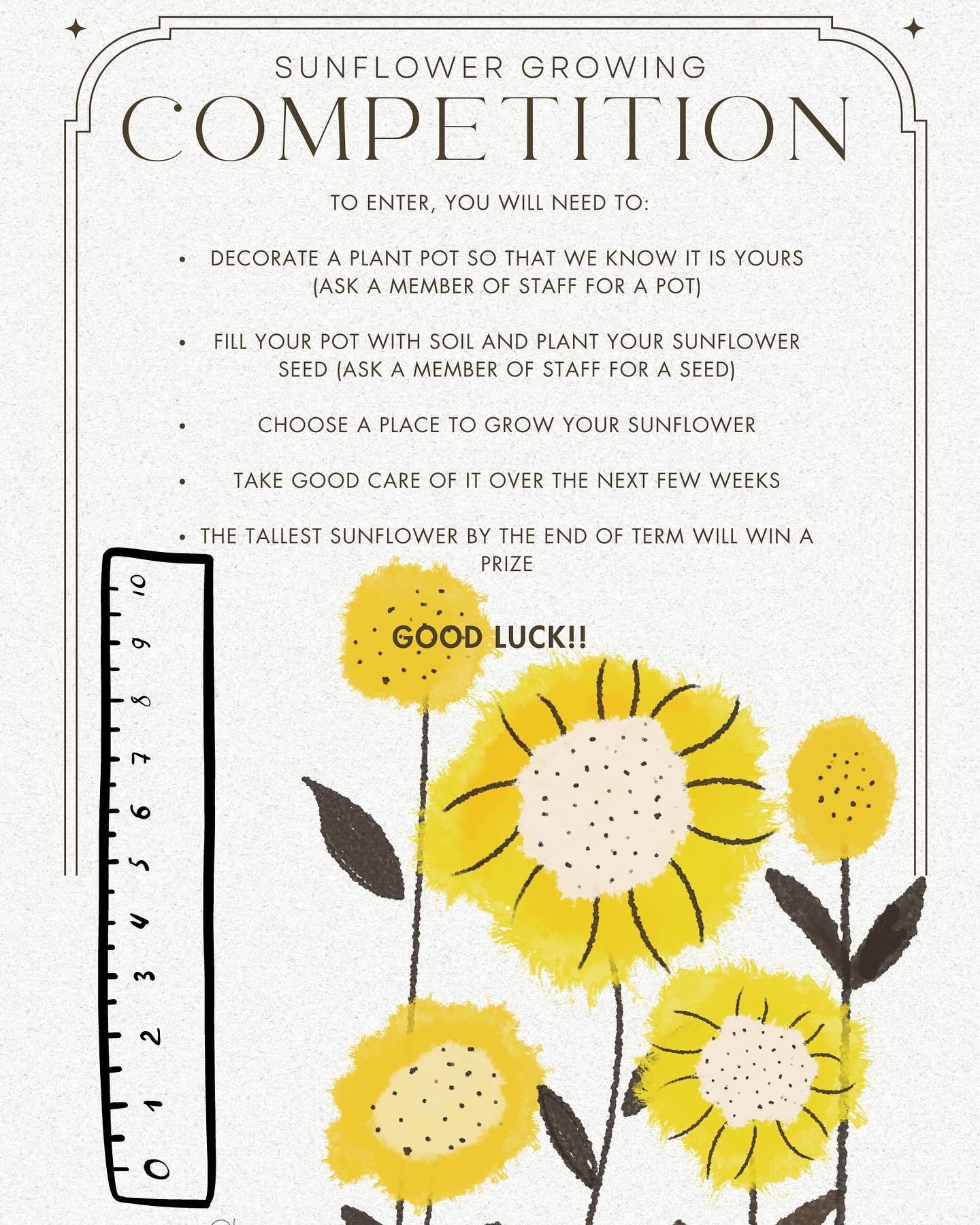 We have our very own sunflower growing competition this year for all staff and students to take part in. And we have life already! If you&rsquo;ve not yet planted your seed, there&rsquo;s still time! A prize will be awarded to the tallest sunflower. 