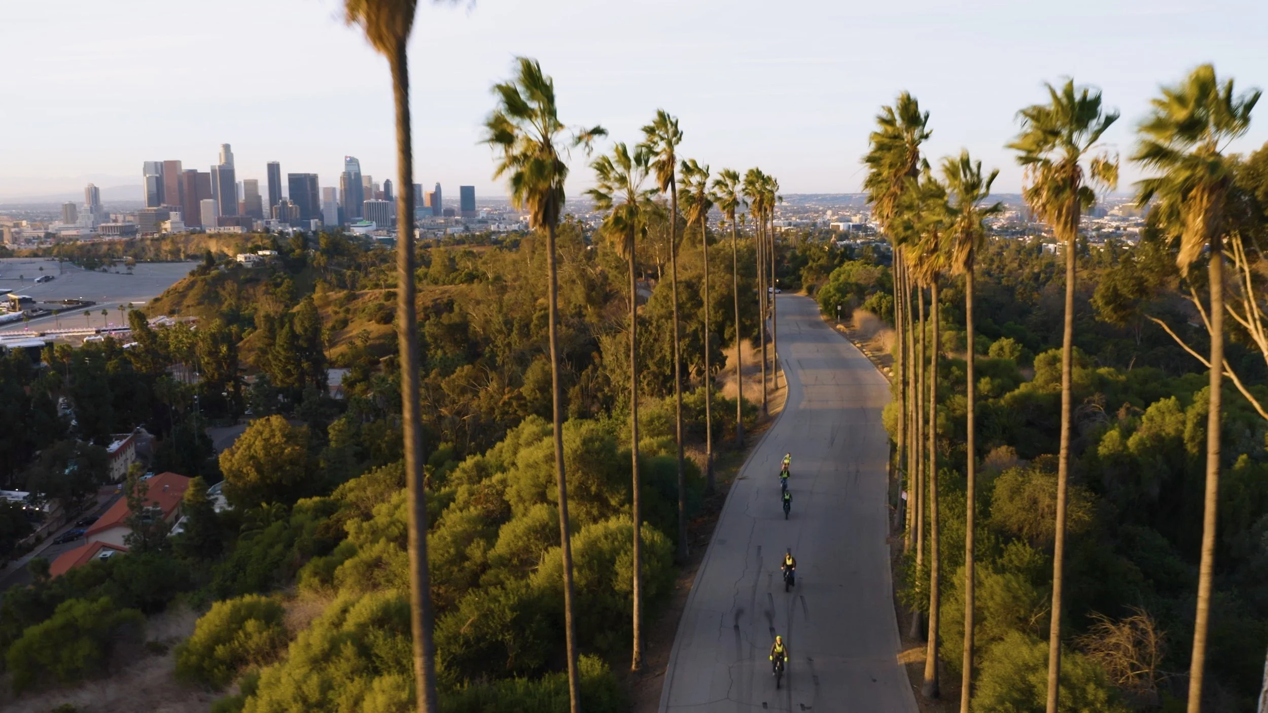 Avenue of the Palms in Elysian Park with the Downtown Los Angeles skyline on the Eastside Express E-Bike Tour