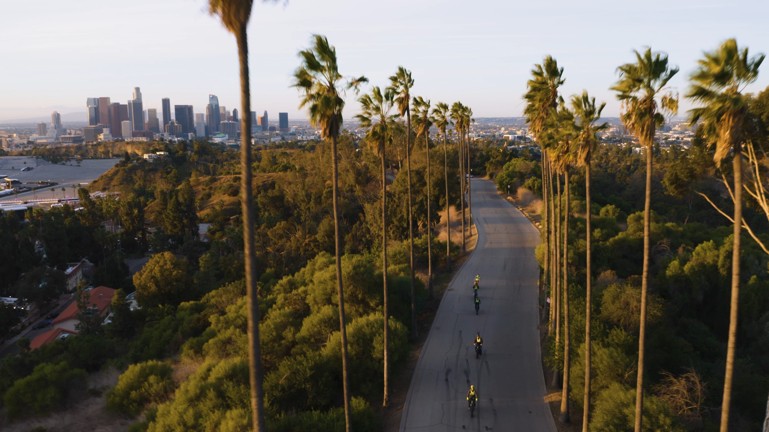 Aerial view of a winding road lined with tall palm trees, with cyclists riding down the road and a city skyline in the background during sunset.