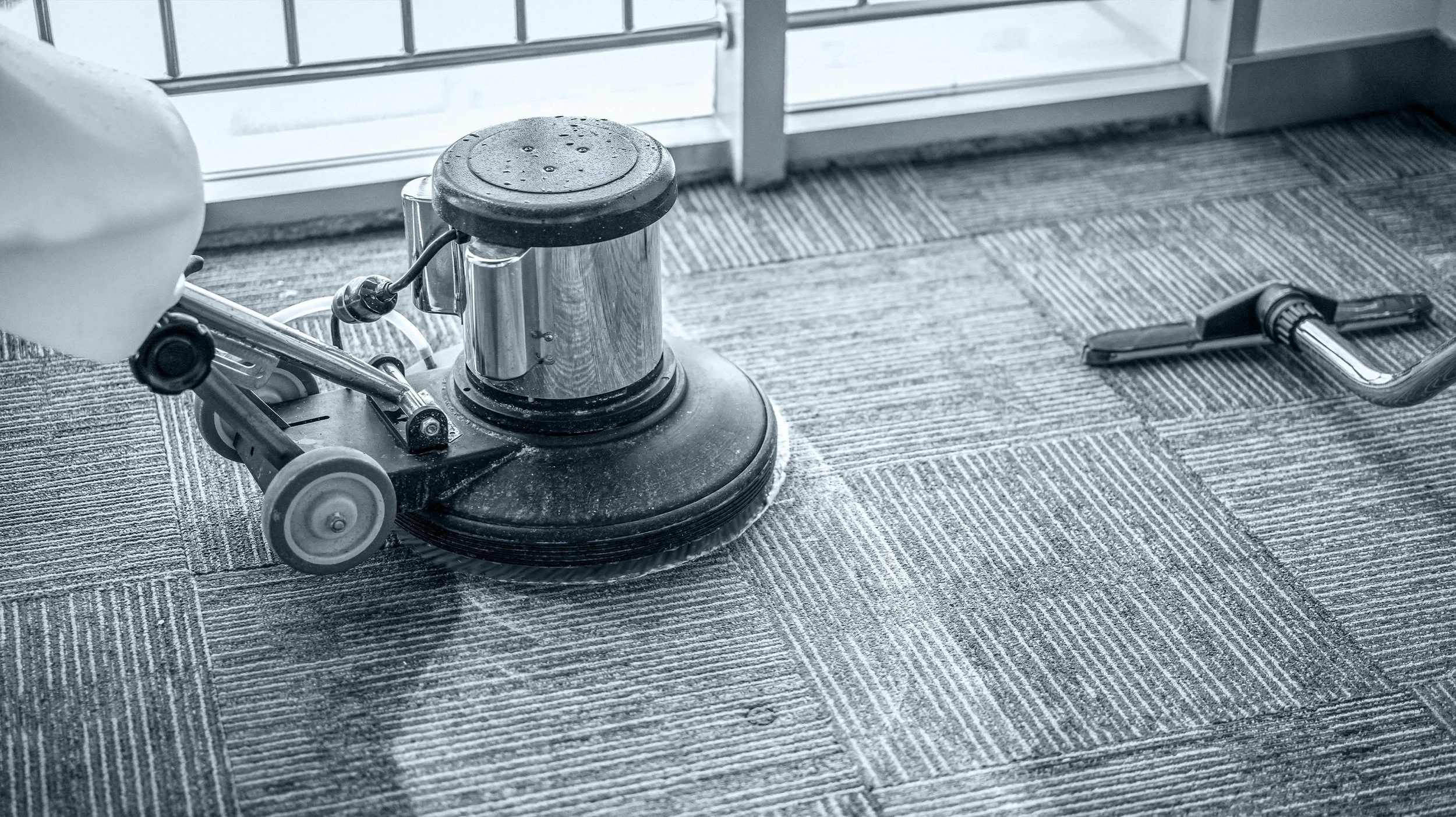 mkm immo.service teppichreinigung