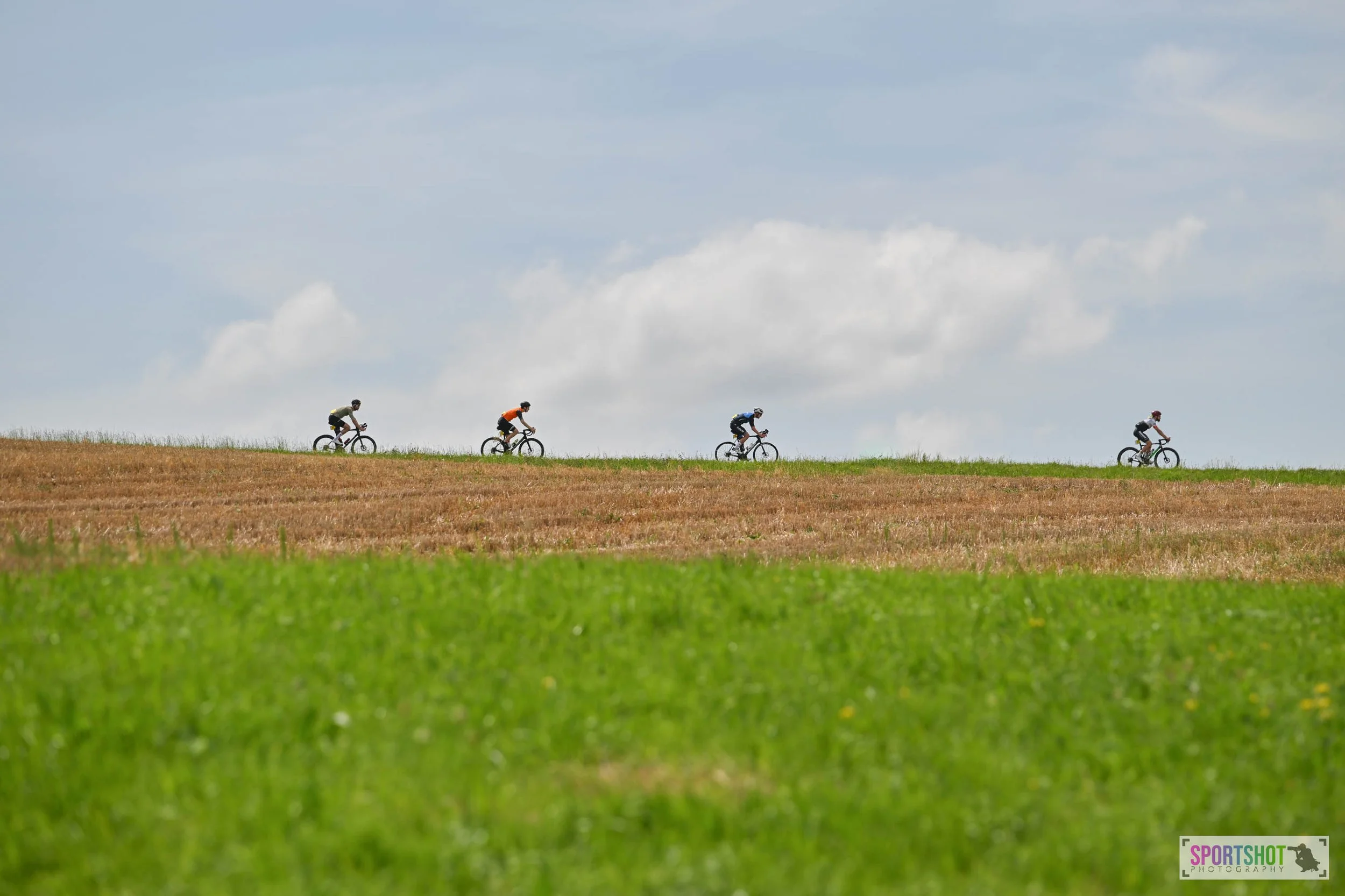 Vier Radfahrer auf einem Feldweg bei sonnigem Wetter.
