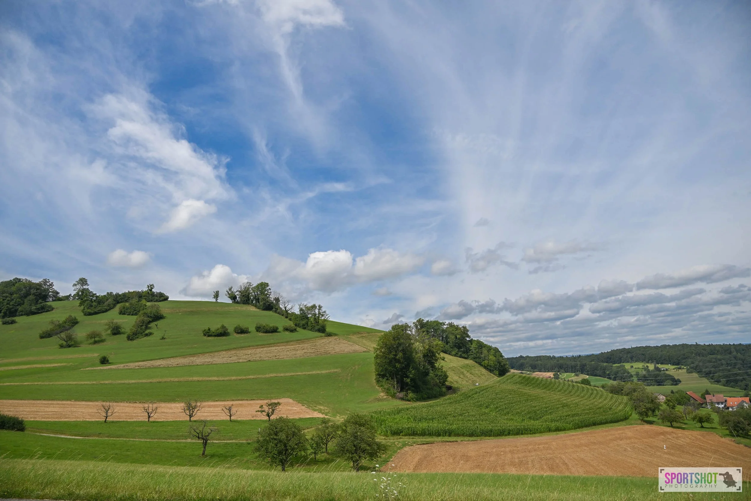 Landschaft mit grünen Hügeln und Feldern, Bäume, blauer Himmel mit weißen Wolken.