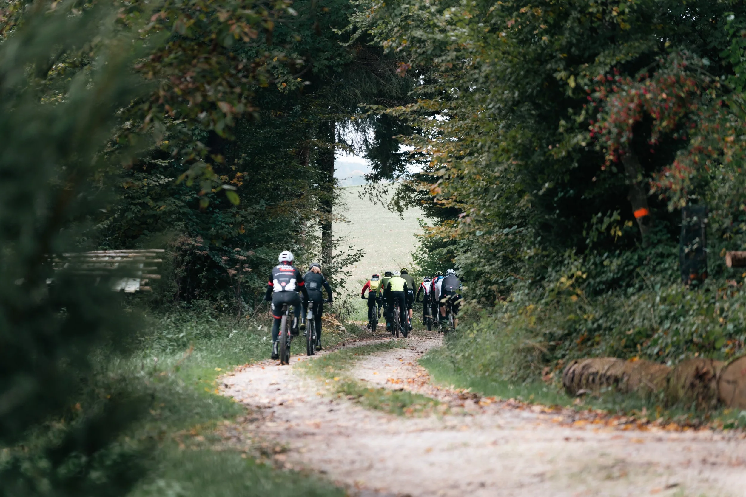 Gruppe von Radfahrern auf einem Waldweg, umgeben von Bäumen.