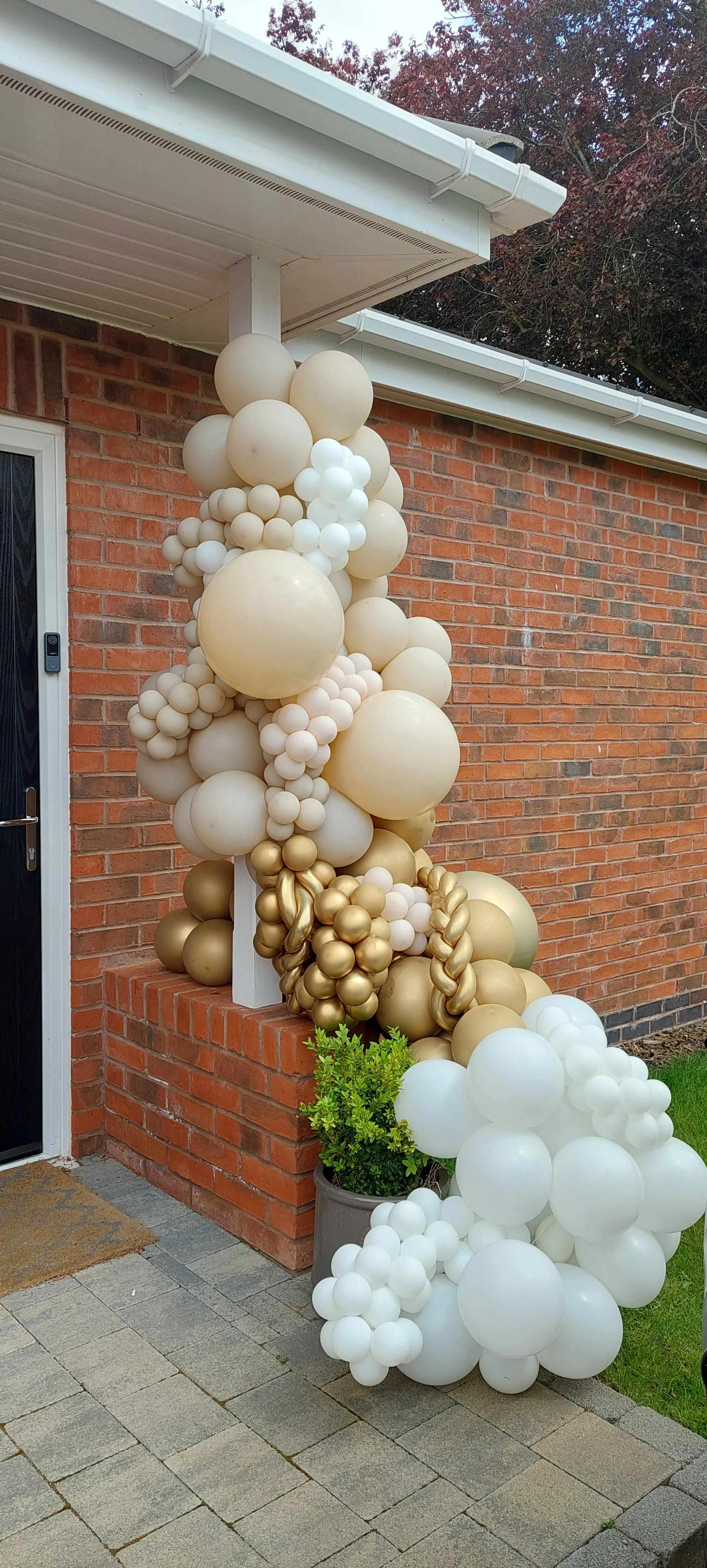Decorative balloon garland in shades of white, gold, and cream arranged along a house wall, with a small potted green plant at the base, outside a brick house.