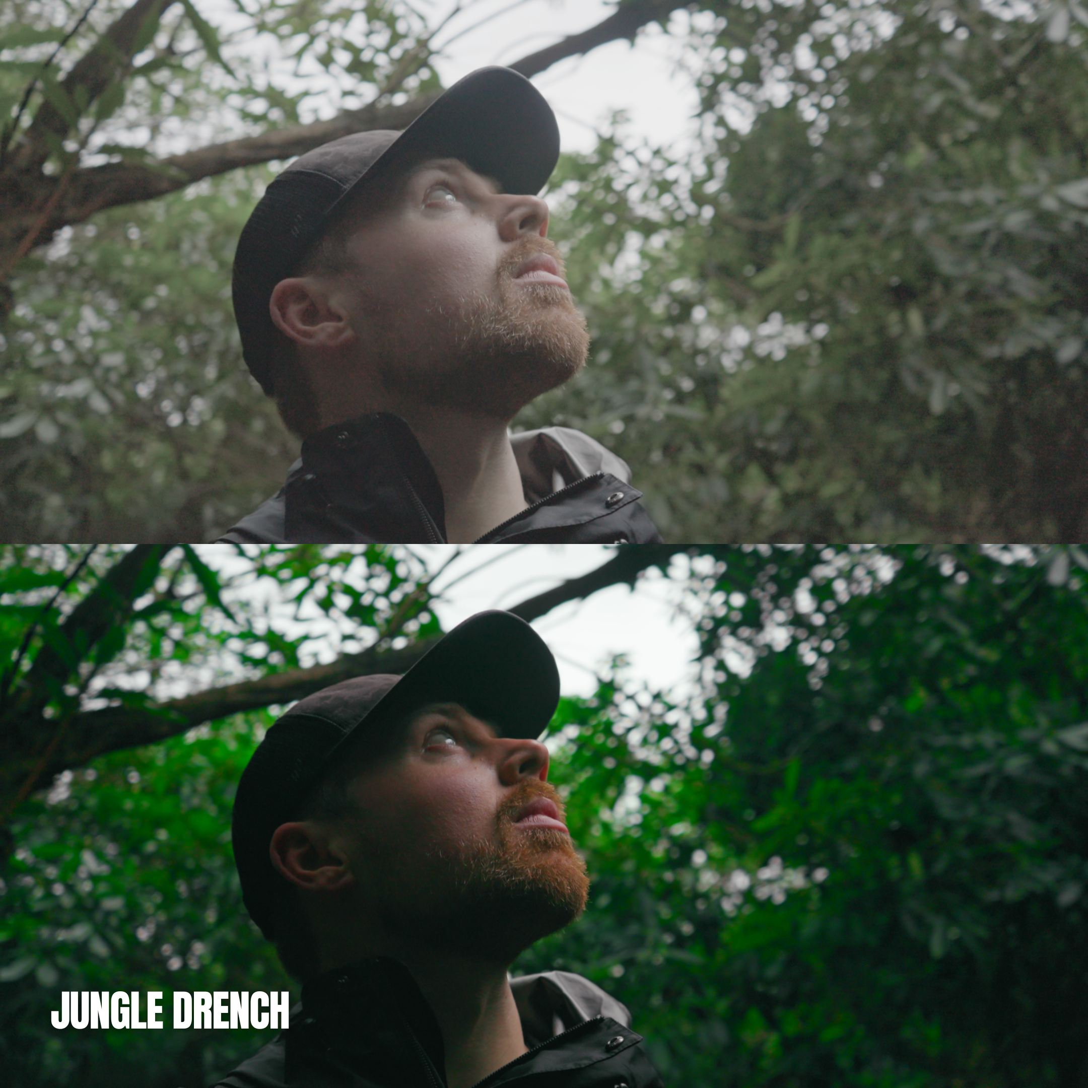 Jungle Drench.png