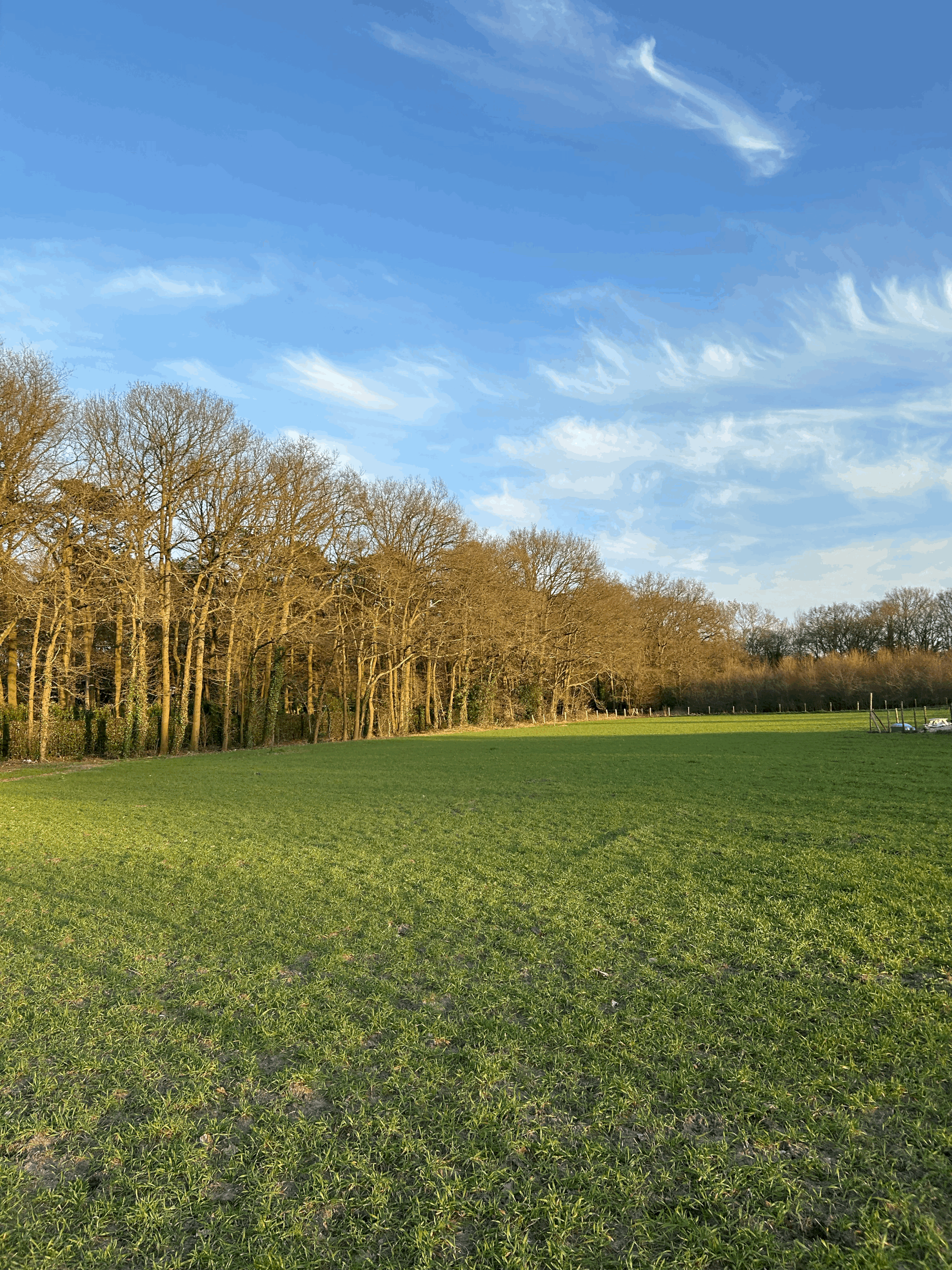 Kom dichtbij me! Laat me met rust!