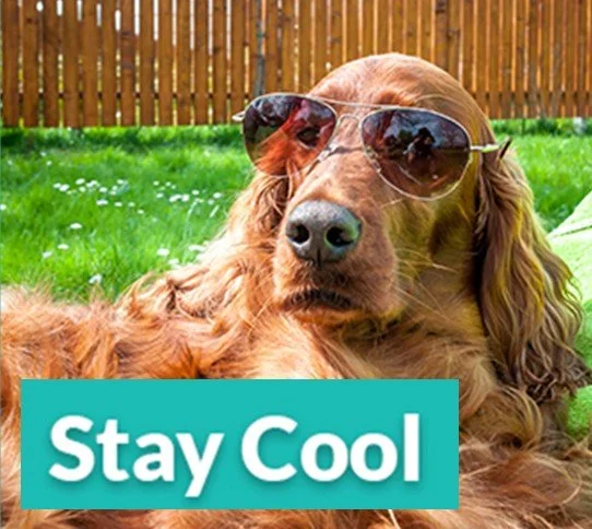 Stay Cool