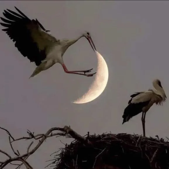 Timing Is Everything