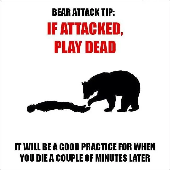 Bear Attack Tip