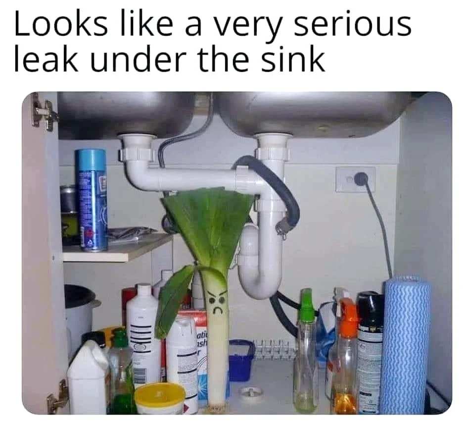 Serious Leek Under Sink