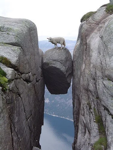 Caught Between a Rock and a Hard Place