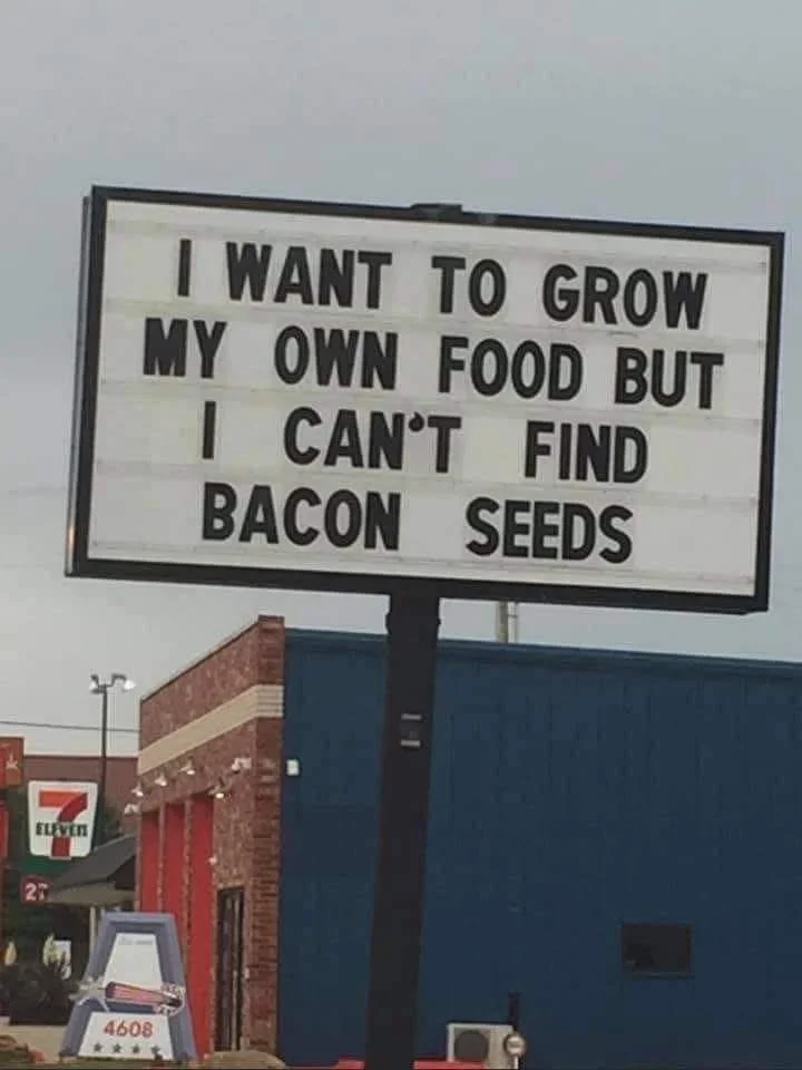 Bacon Seeds