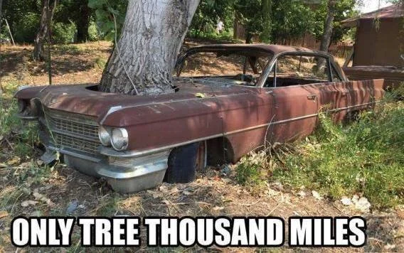 Car For Sale: Only Tree Thousand Miles!