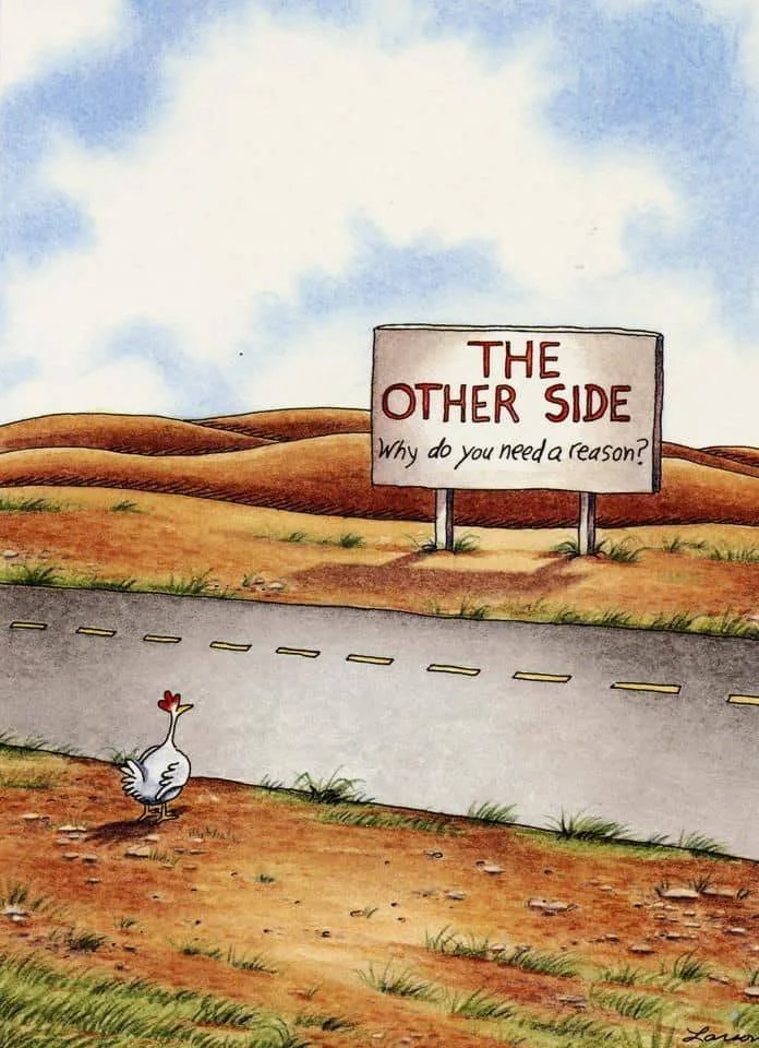 The Other Side: Why Do You Need A Reason?