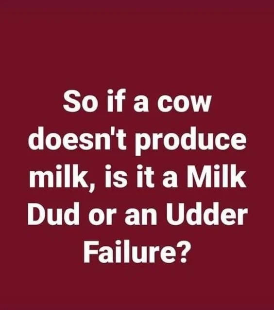 If A Cow Doesn't Produce Milk