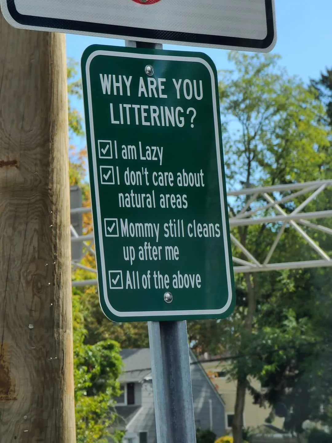 Why Are You Littering?