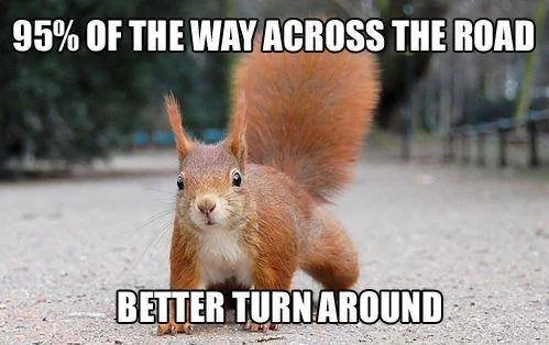 Squirrel Logic