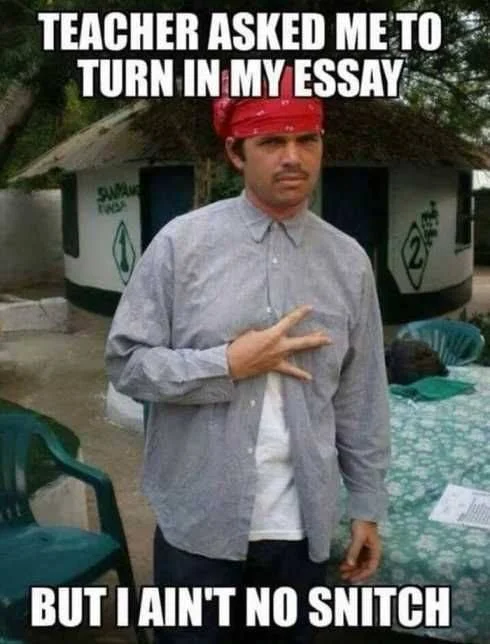 Turn In Essay/Ese