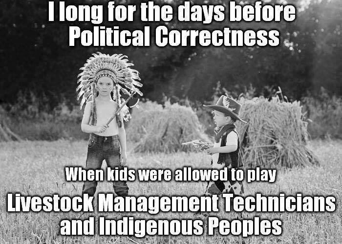 Political Correctness