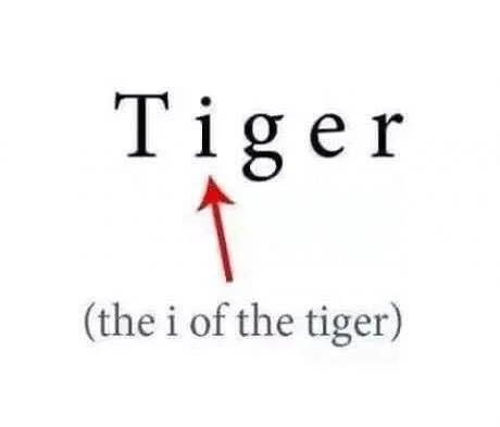 I Of The Tiger