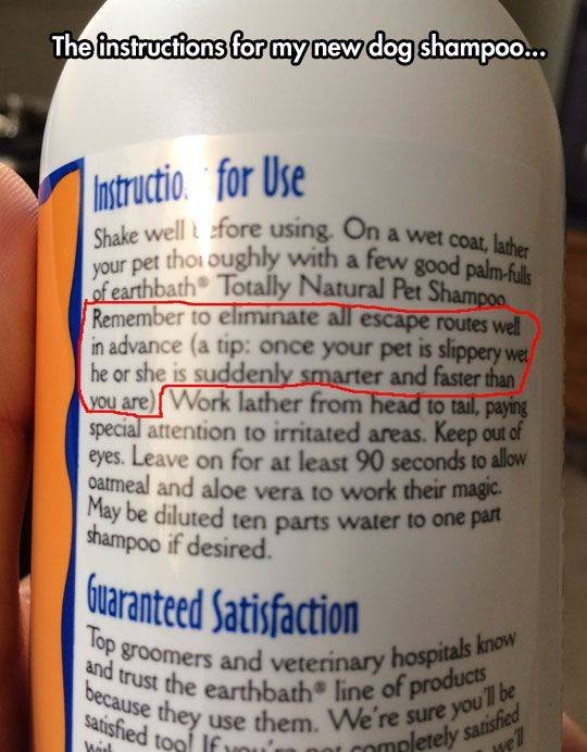 Dog Shampoo Instructions