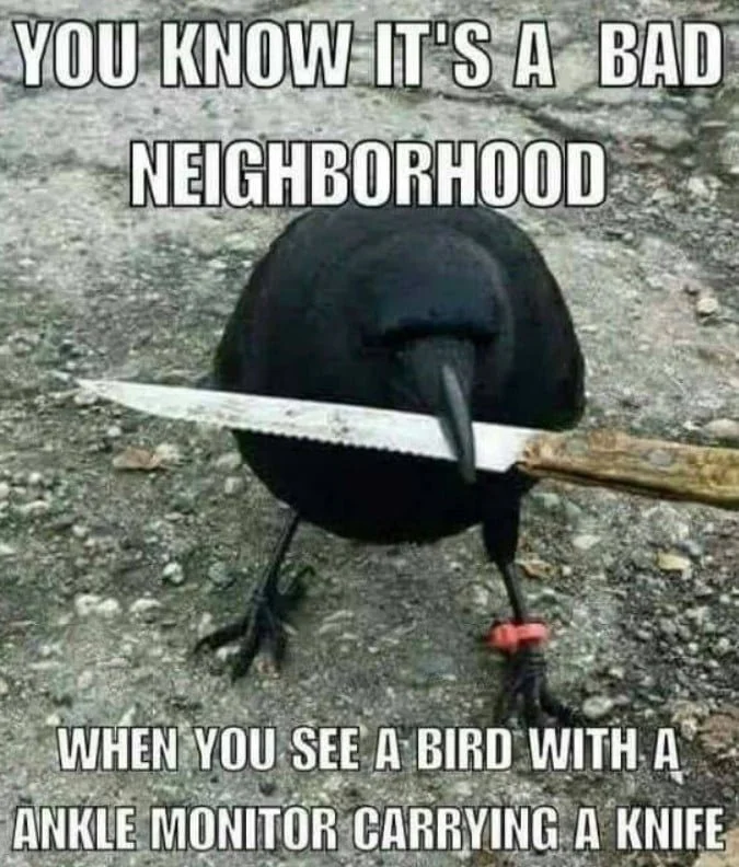 Bad Neighborhood
