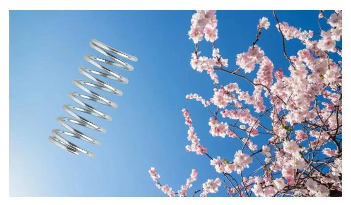 Spring Has Sprung