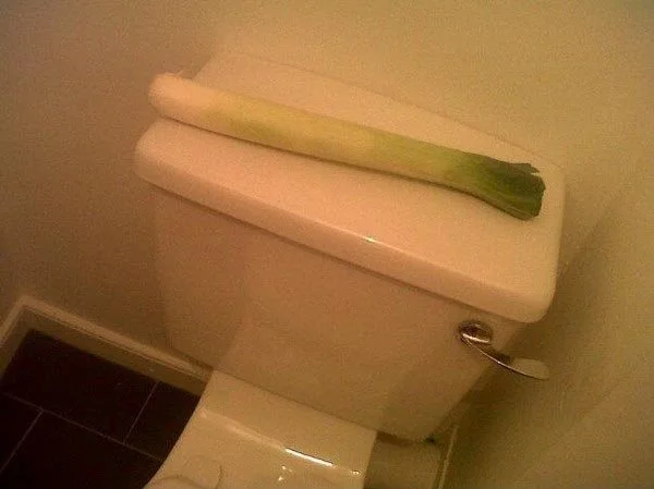 Leek In Bathroom
