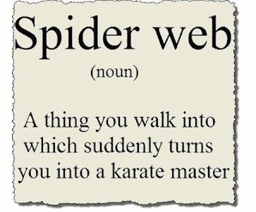 Spider Web