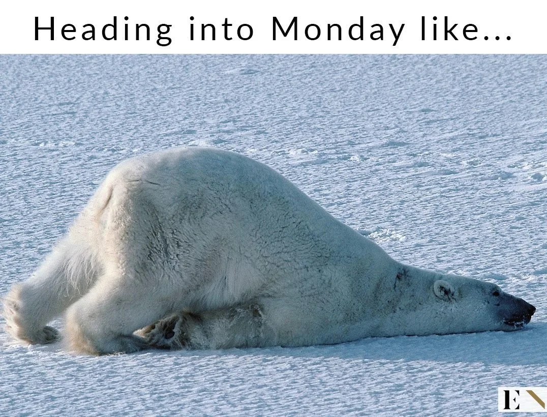 Monday Bear