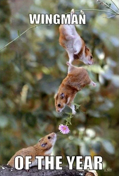 Wingman Of The Year