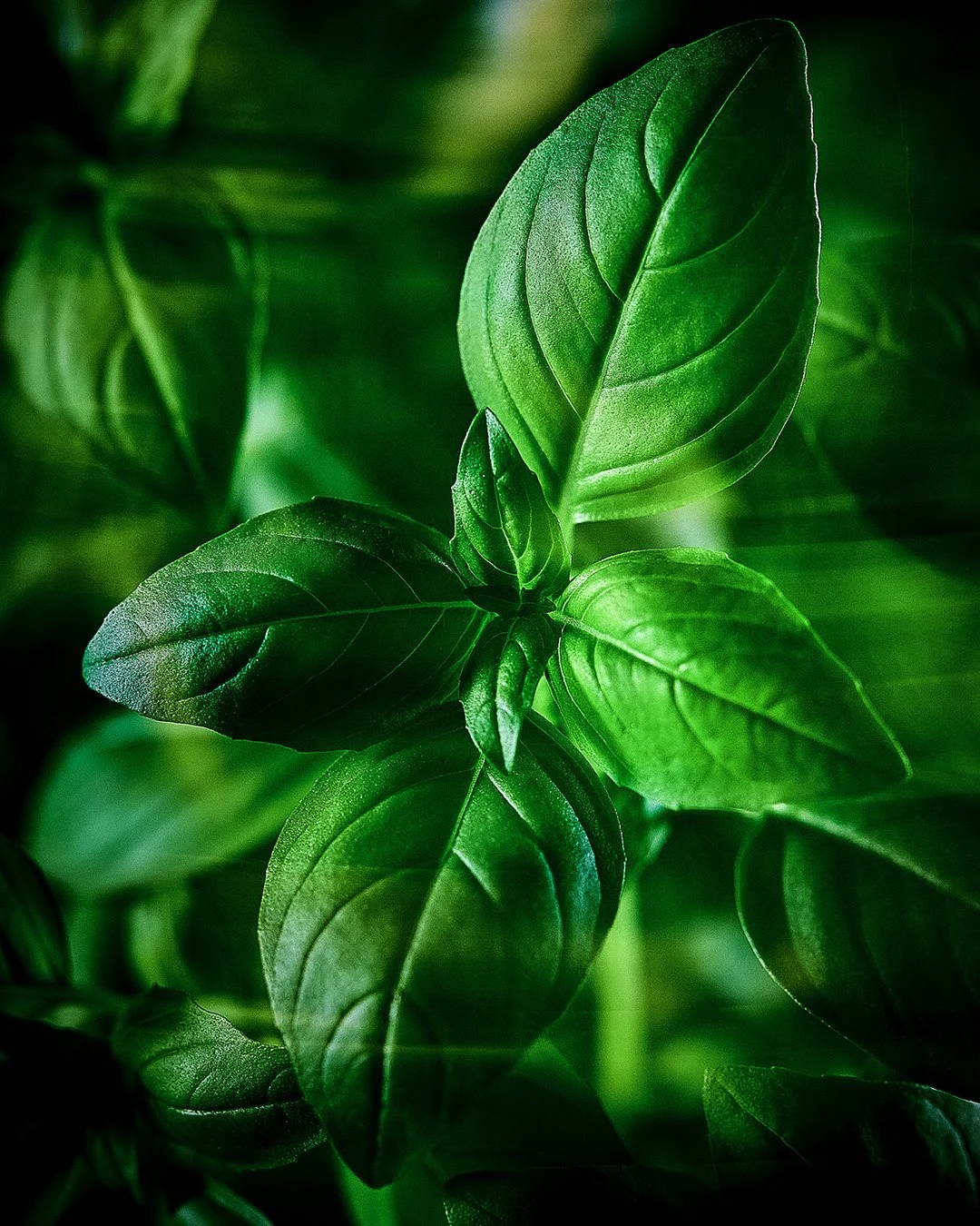 When I take photos of products out of boredom, my first idea often doesn't work out because it's either too conventional or too complicated. The nice thing, though, is that it's worth staying experimental without getting too abstract. Photography is 