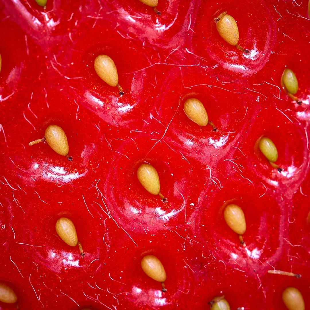 Erdbeeren haben fotografisch erstaunlich viel zu bieten. So viele sch&ouml;ne kleine Details. Und Fotografieren macht mehr Spass als prompten. #strawberries #foodphoto #humanmade #personelprojectsphotography #red