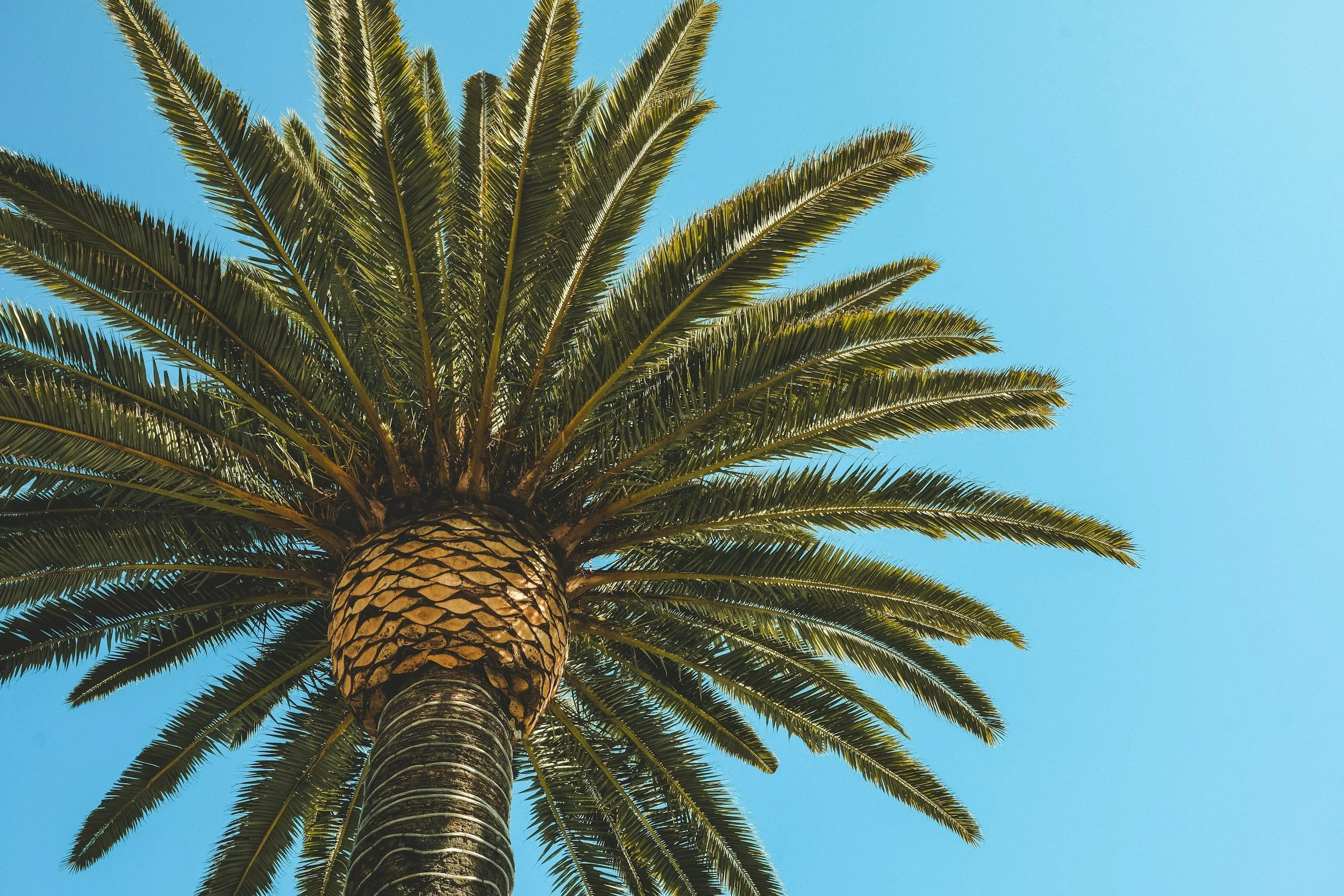 Newsletter June 2026: Putting ideas into practice