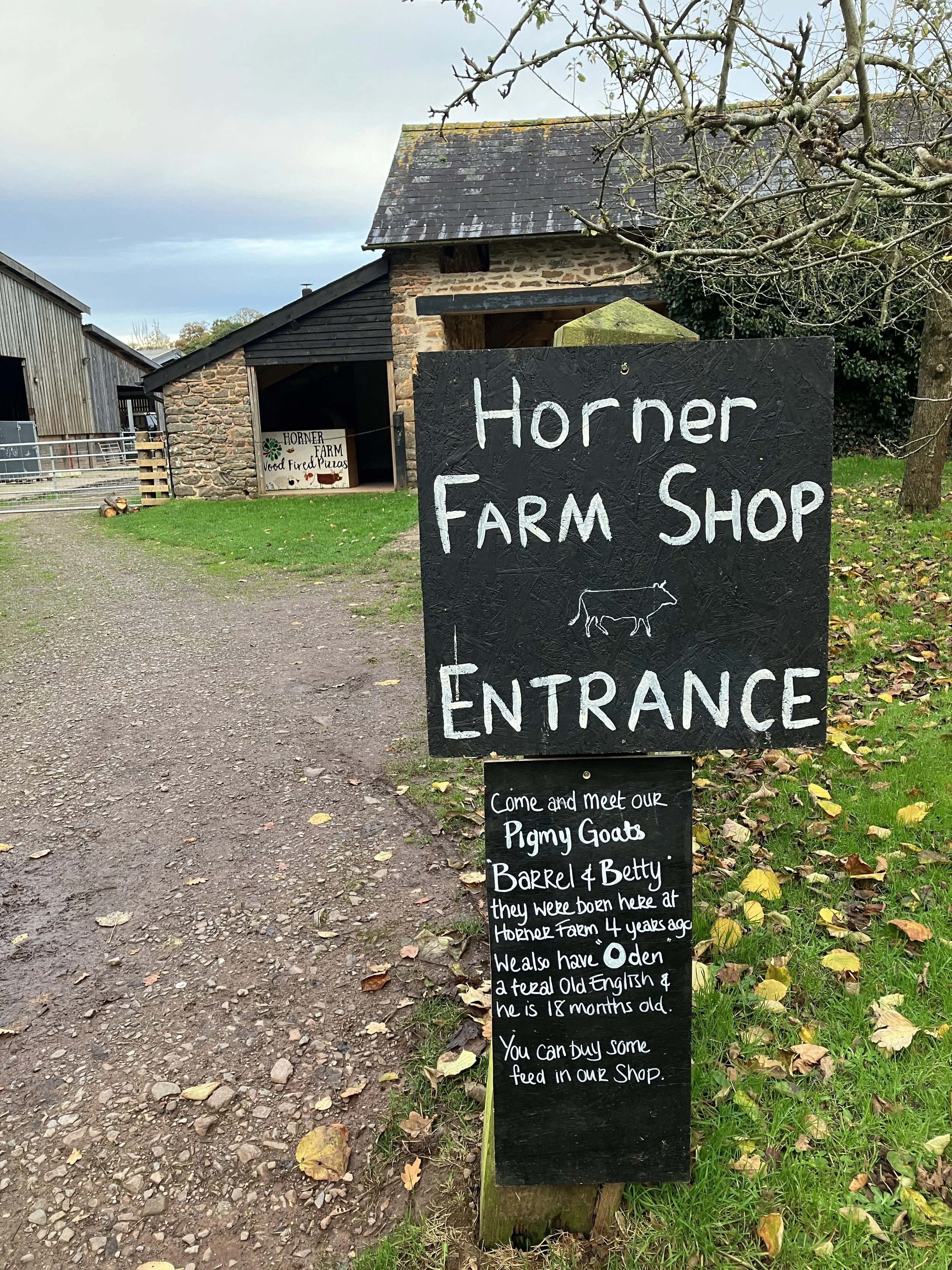 horner farm shop and meet goats sign.JPG