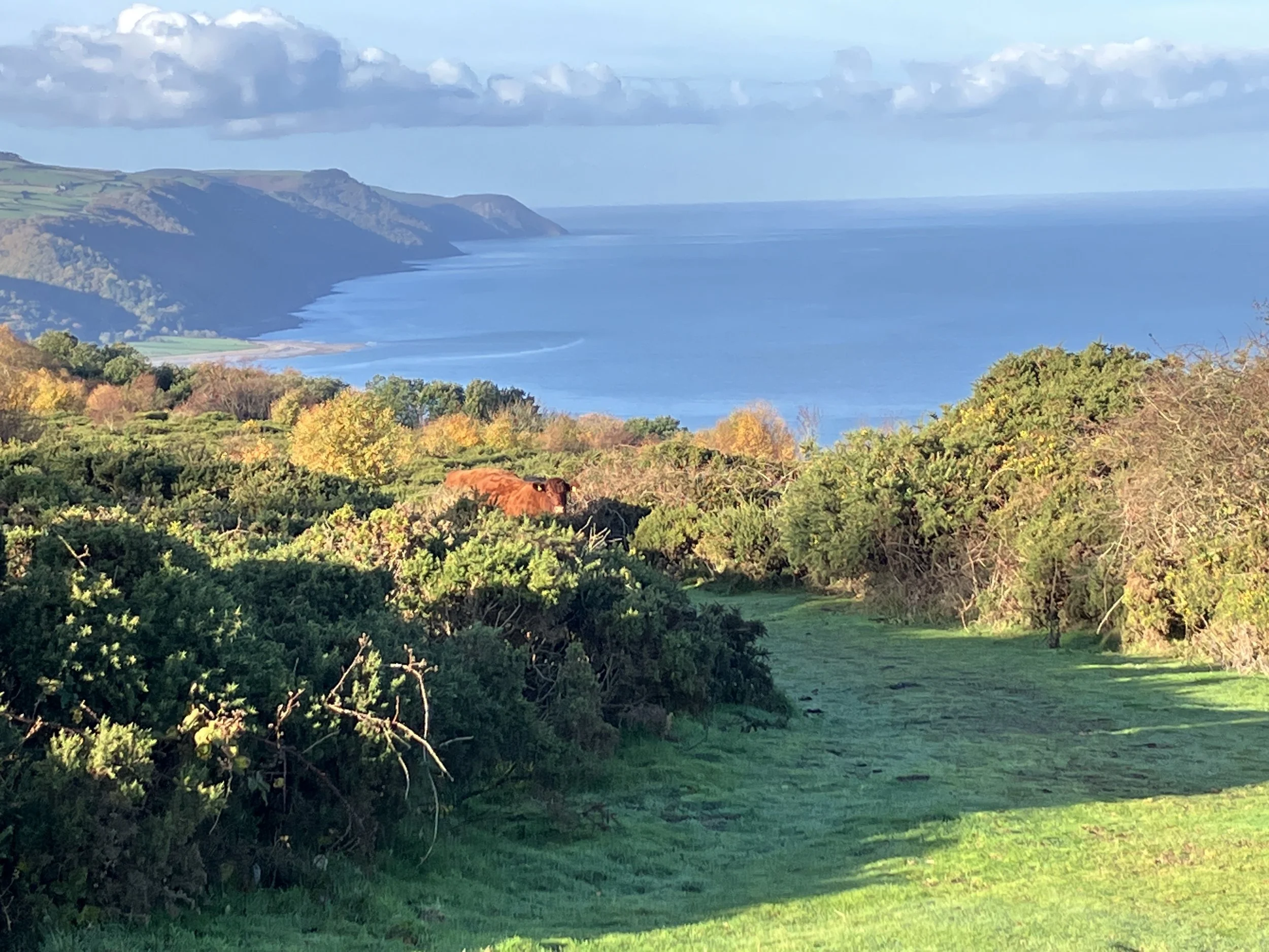 lynch combe steep path some autumn colours blue sky.JPG