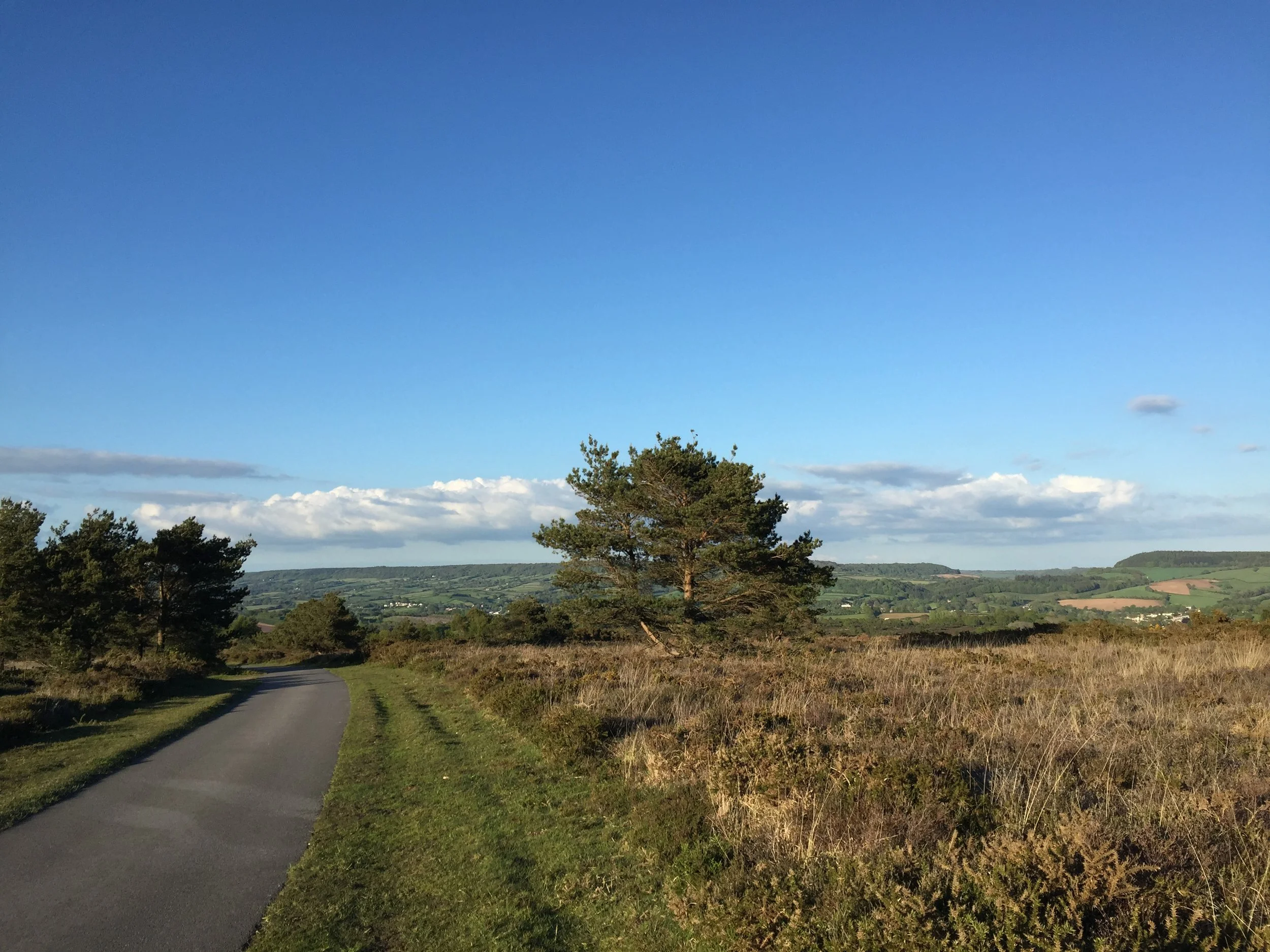 Part 2 - aylesbeare common - tarmac track .JPG