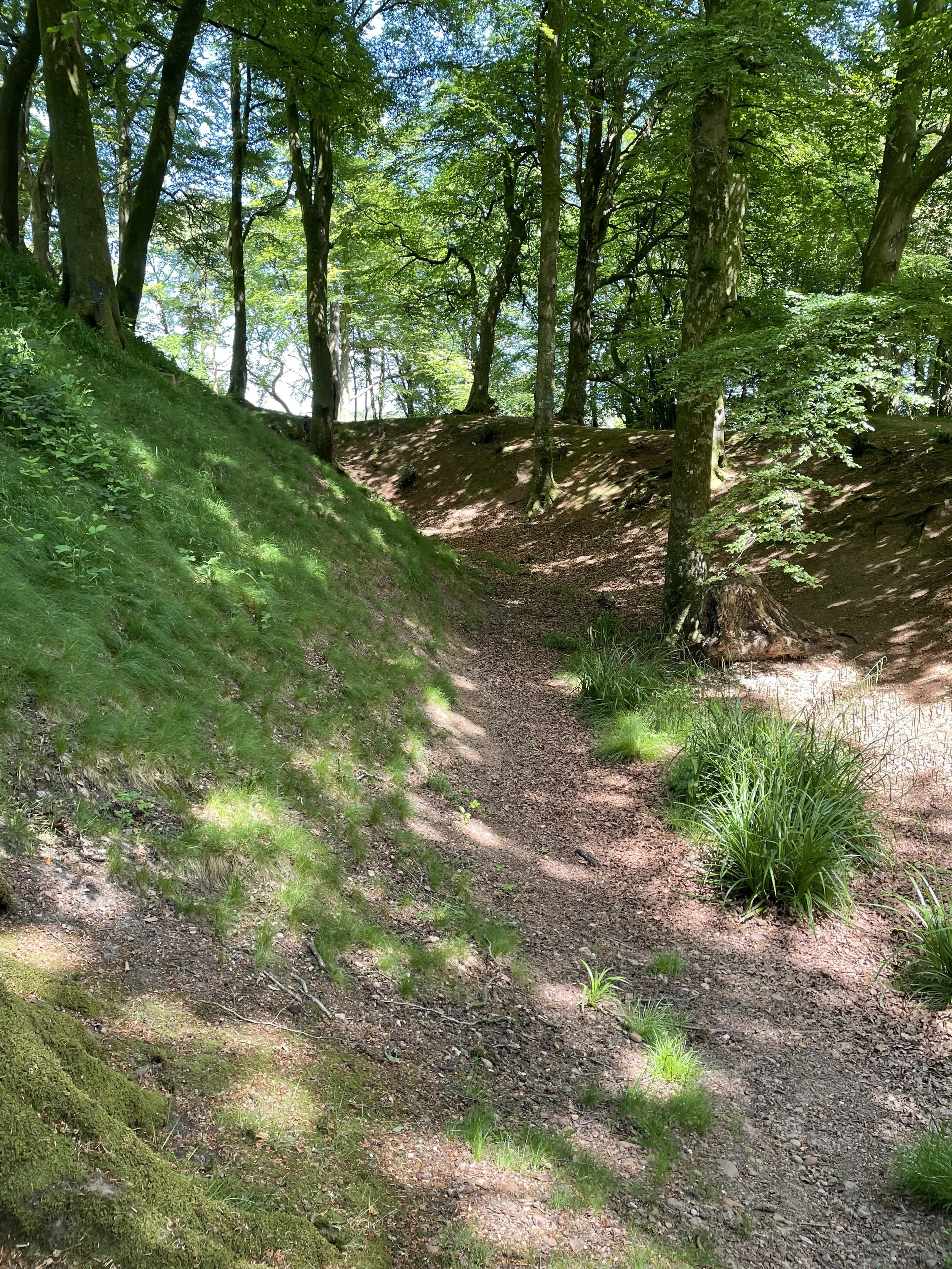 Part 1 - Woodbury castle - fort bank .jpg