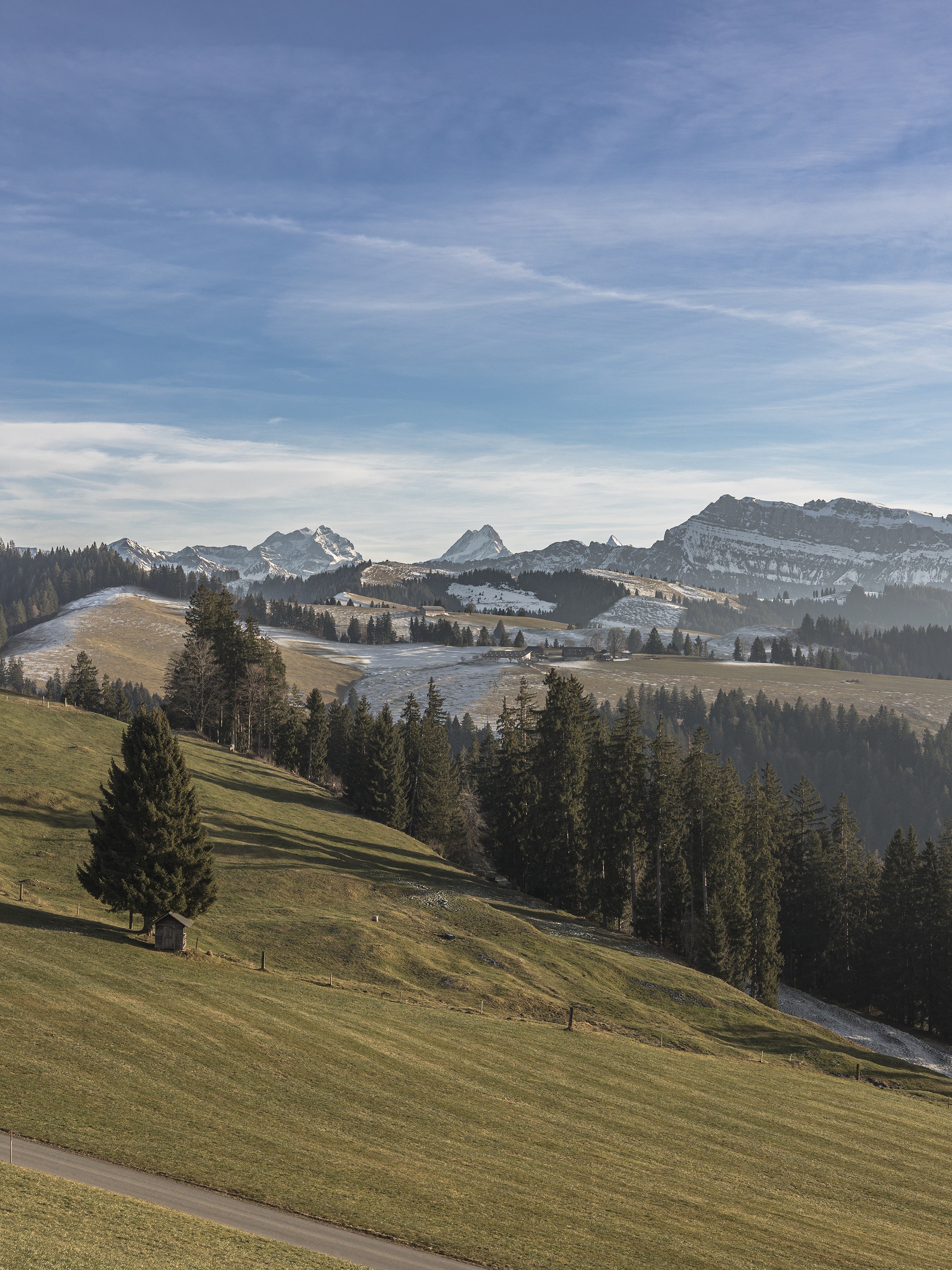 Emmental