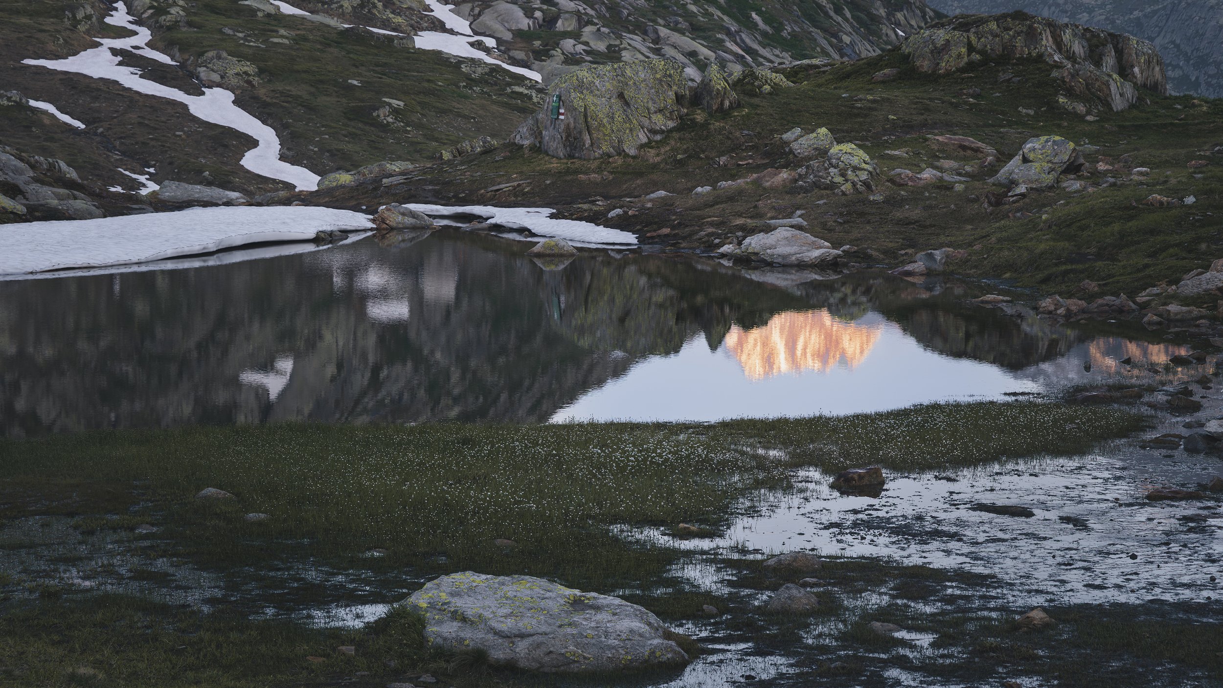 Grimsel-0525_web.jpg